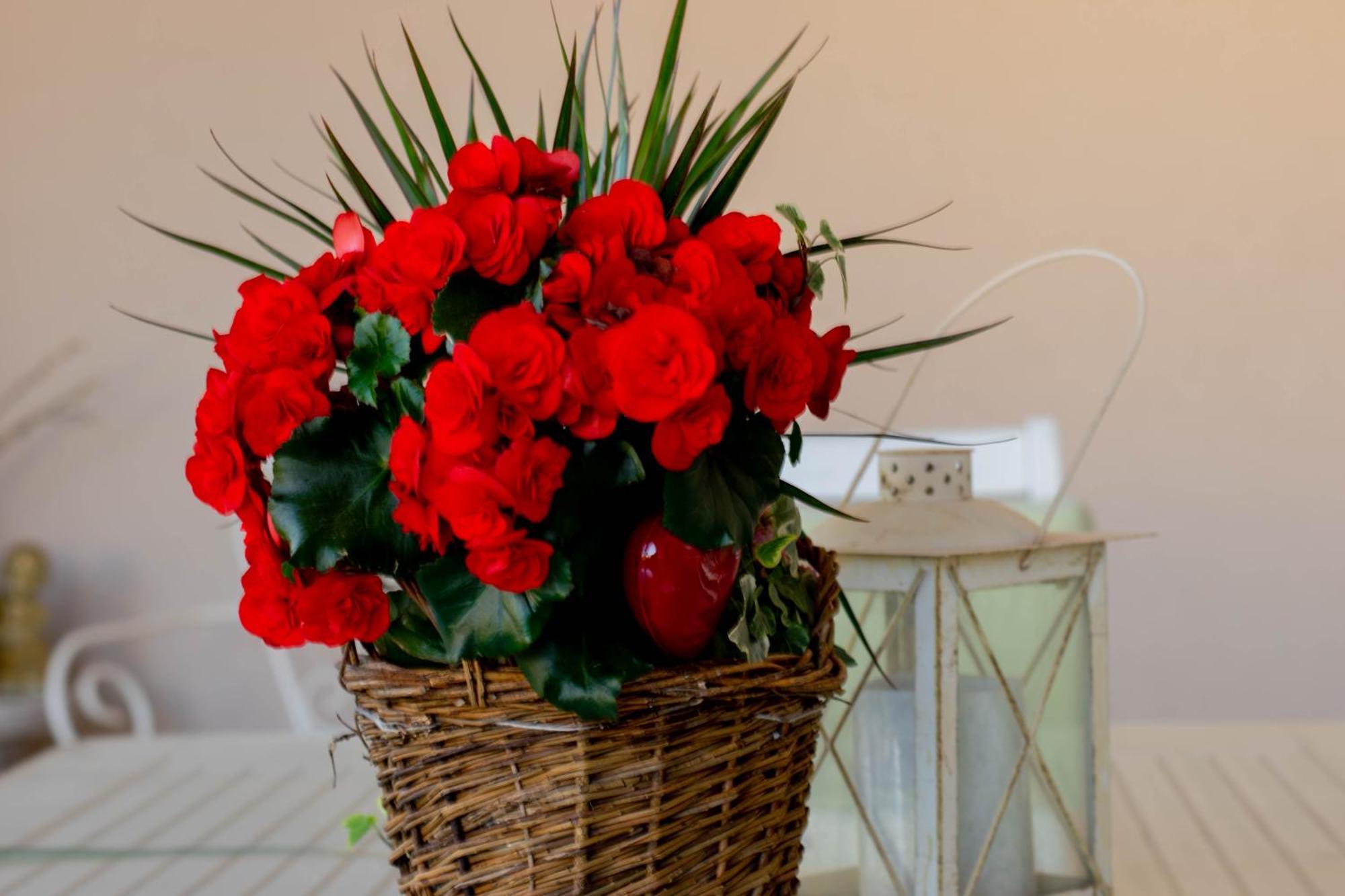 Apartments Anita Frane Водице Екстер'єр фото